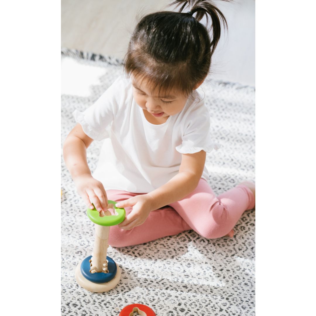 Plan Toys Twist & Sort