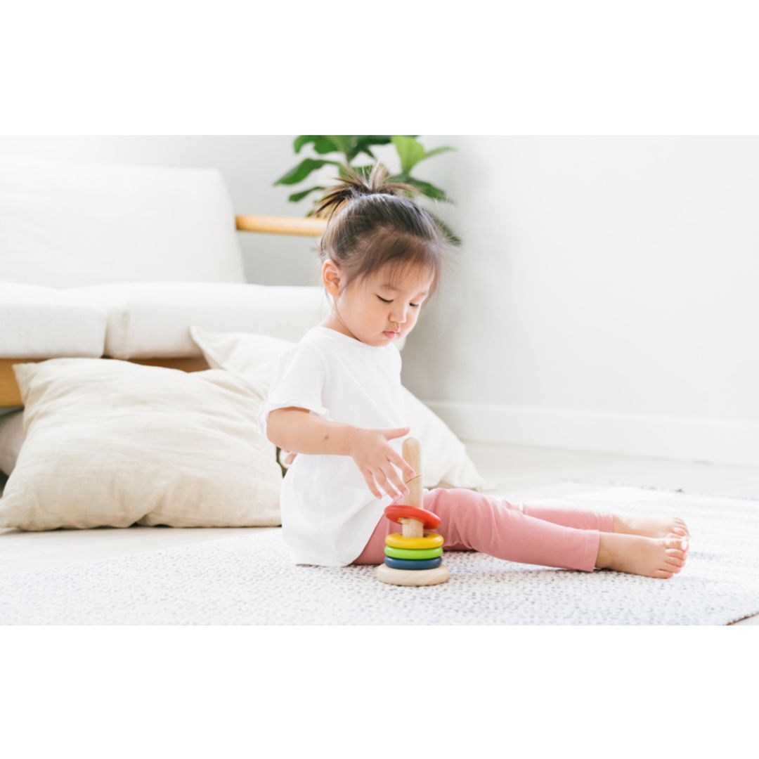 Plan Toys Twist & Sort