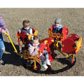 Carrington's Carousel